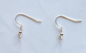 Silver Coloured Earring Hooks